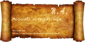 Molcsán Antónia névjegykártya